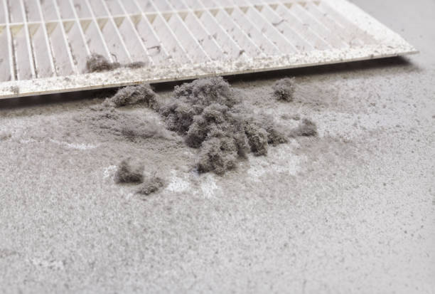 Best Ductwork Cleaning Services  in Calhoun Falls, SC