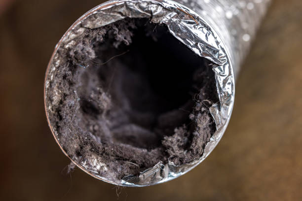 Best HVAC Duct Inspection Services  in Calhoun Falls, SC